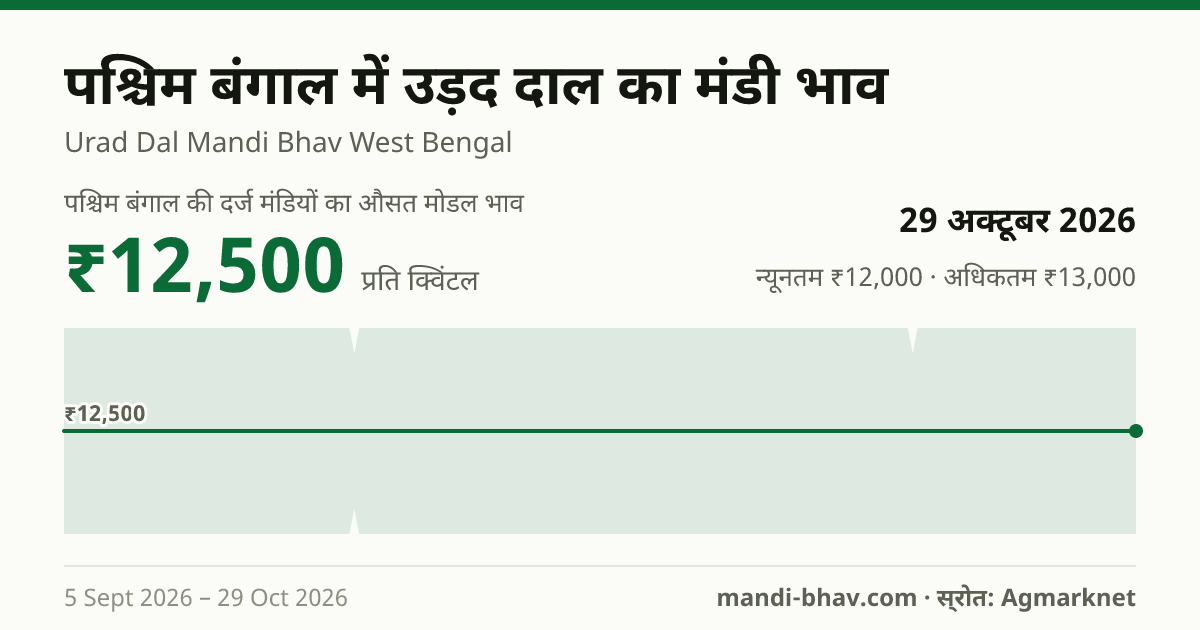 पश्चिम बंगाल में उड़द दाल का मंडी भाव 29 अक्टूबर 2026: औसत मोडल ₹12,500 प्रति क्विंटल, भाव के रुझान का चार्ट
