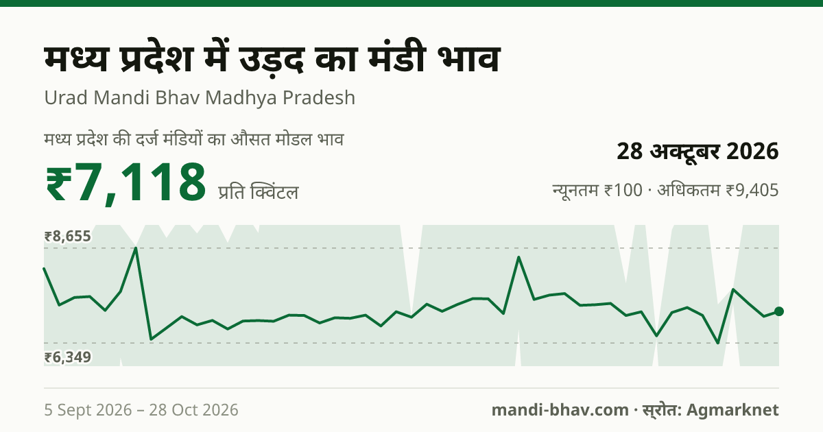 मध्य प्रदेश में उड़द का मंडी भाव 28 अक्टूबर 2026: औसत मोडल ₹7,118 प्रति क्विंटल, भाव के रुझान का चार्ट