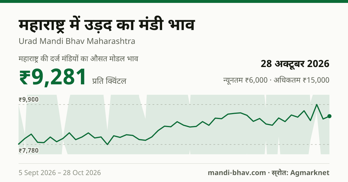 महाराष्ट्र में उड़द का मंडी भाव 28 अक्टूबर 2026: औसत मोडल ₹9,281 प्रति क्विंटल, भाव के रुझान का चार्ट
