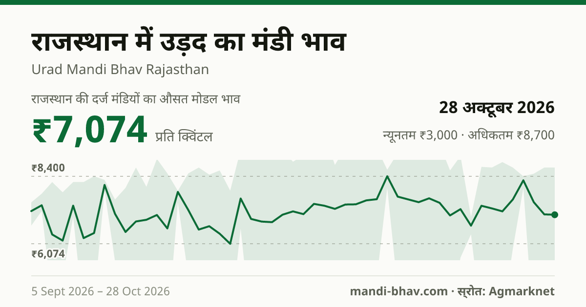 राजस्थान में उड़द का मंडी भाव 28 अक्टूबर 2026: औसत मोडल ₹7,074 प्रति क्विंटल, भाव के रुझान का चार्ट