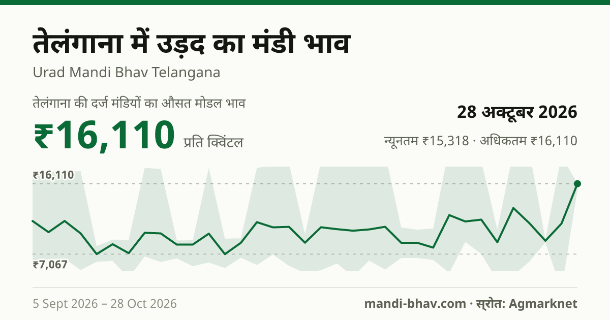 तेलंगाना में उड़द का मंडी भाव 28 अक्टूबर 2026: औसत मोडल ₹16,110 प्रति क्विंटल, भाव के रुझान का चार्ट