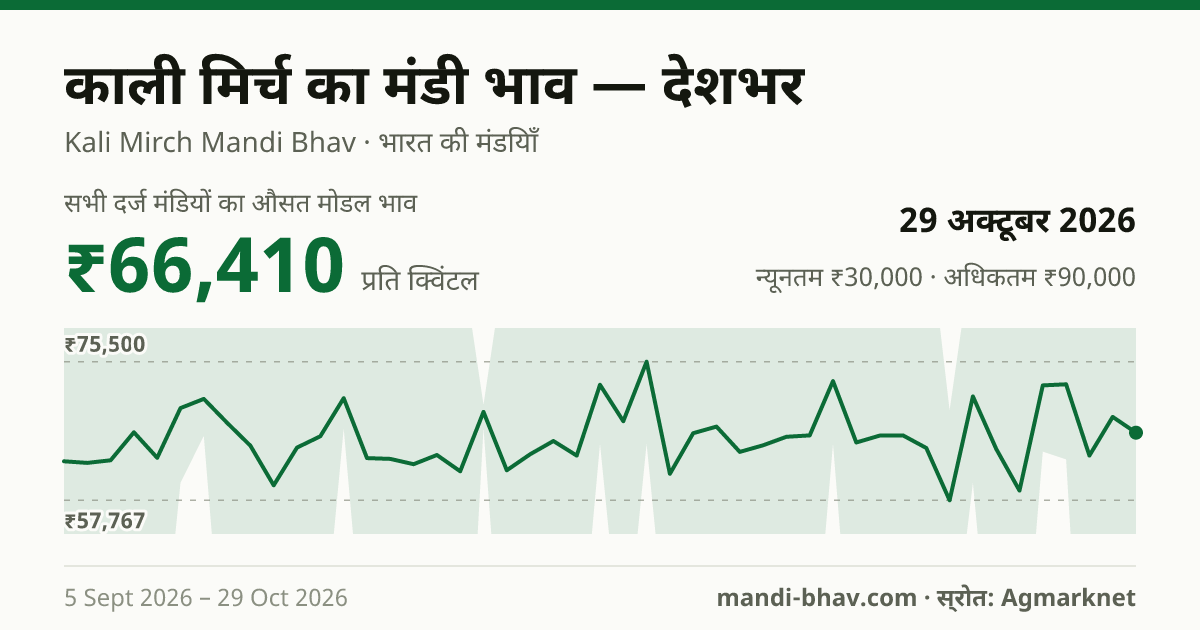 देशभर में काली मिर्च का मंडी भाव 29 अक्टूबर 2026: औसत मोडल ₹85,000 प्रति क्विंटल, भाव के रुझान का चार्ट