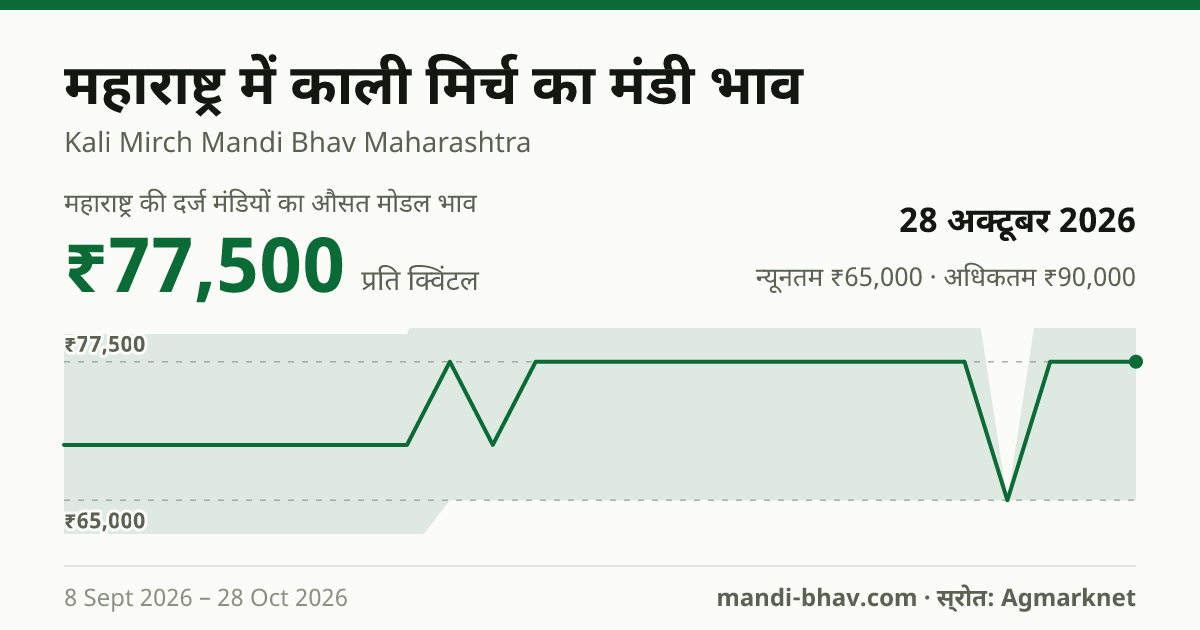 महाराष्ट्र में काली मिर्च का मंडी भाव 28 अक्टूबर 2026: औसत मोडल ₹77,500 प्रति क्विंटल, भाव के रुझान का चार्ट