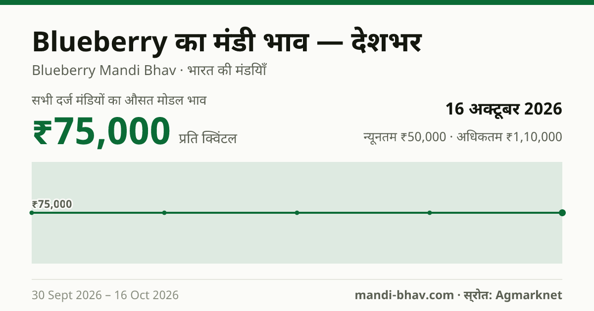 देशभर में Blueberry का मंडी भाव 16 अक्टूबर 2026: औसत मोडल ₹75,000 प्रति क्विंटल, भाव के रुझान का चार्ट