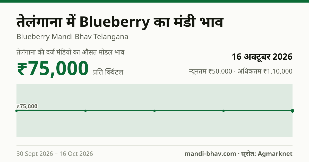 तेलंगाना में Blueberry का मंडी भाव 16 अक्टूबर 2026: औसत मोडल ₹75,000 प्रति क्विंटल, भाव के रुझान का चार्ट
