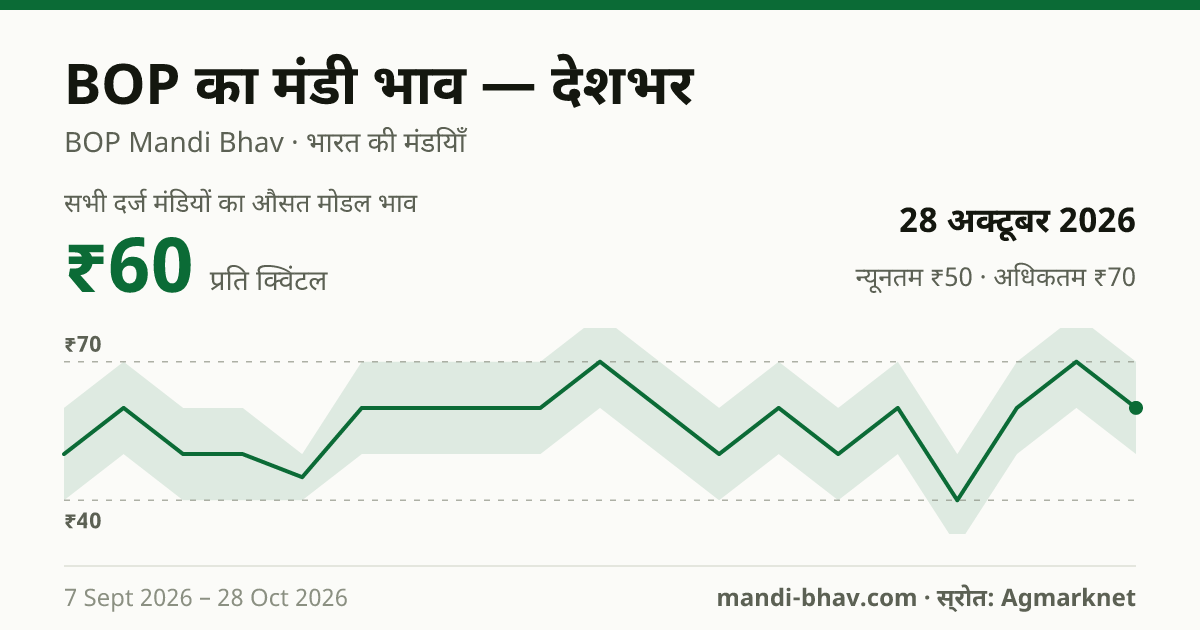 देशभर में BOP का मंडी भाव 28 अक्टूबर 2026: औसत मोडल ₹60 प्रति क्विंटल, भाव के रुझान का चार्ट