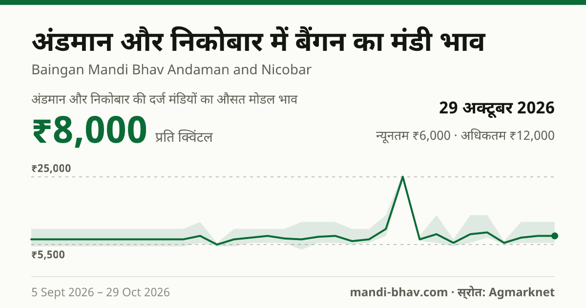 अंडमान और निकोबार में बैंगन का मंडी भाव 29 अक्टूबर 2026: औसत मोडल ₹8,000 प्रति क्विंटल, भाव के रुझान का चार्ट