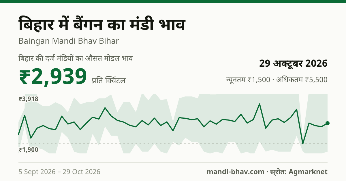 बिहार में बैंगन का मंडी भाव 29 अक्टूबर 2026: औसत मोडल ₹2,939 प्रति क्विंटल, भाव के रुझान का चार्ट