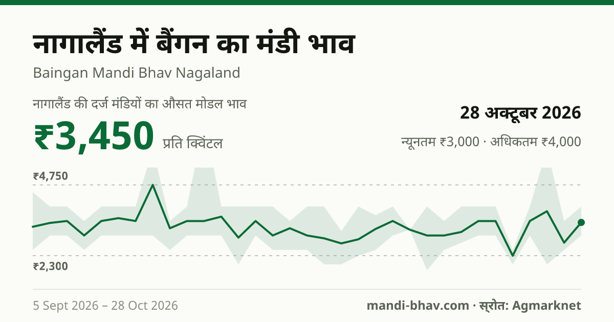 नागालैंड में बैंगन का मंडी भाव 28 अक्टूबर 2026: औसत मोडल ₹3,450 प्रति क्विंटल, भाव के रुझान का चार्ट