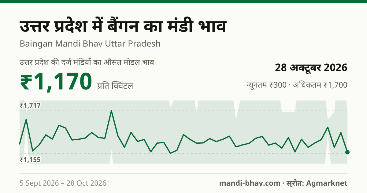 उत्तर प्रदेश में बैंगन का मंडी भाव 28 अक्टूबर 2026: औसत मोडल ₹1,170 प्रति क्विंटल, भाव के रुझान का चार्ट