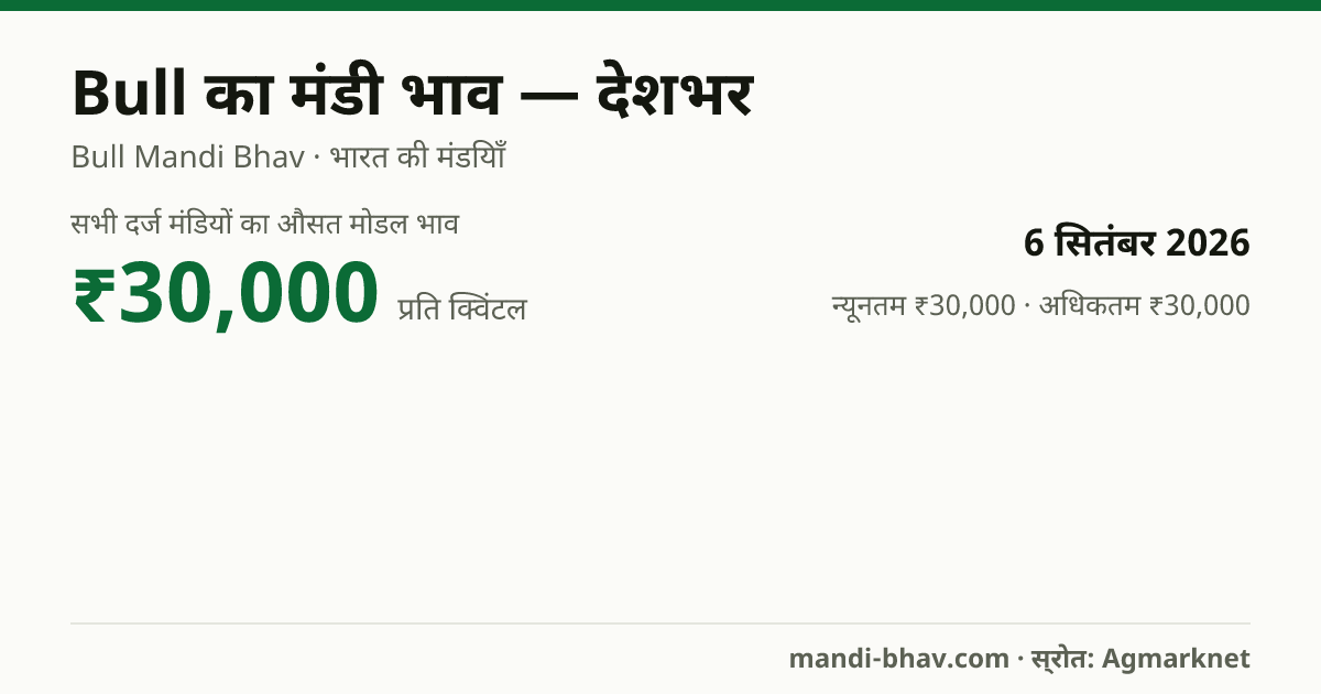 देशभर में Bull का मंडी भाव 6 सितंबर 2026: औसत मोडल ₹30,000 प्रति क्विंटल, भाव के रुझान का चार्ट