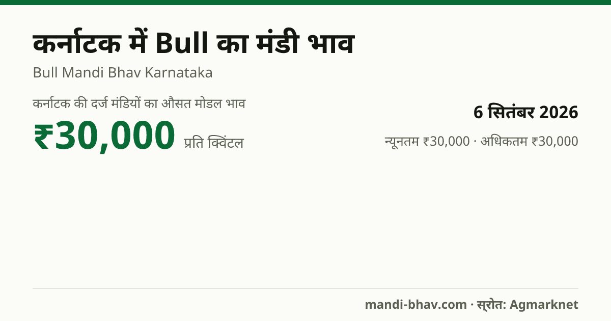 कर्नाटक में Bull का मंडी भाव 6 सितंबर 2026: औसत मोडल ₹30,000 प्रति क्विंटल, भाव के रुझान का चार्ट