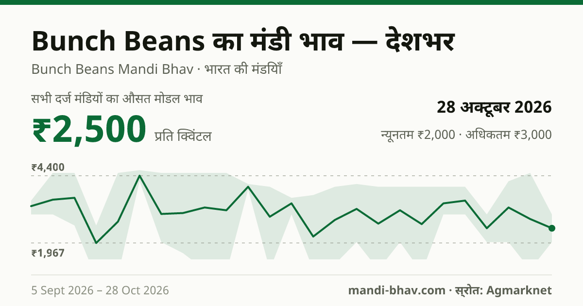 देशभर में Bunch Beans का मंडी भाव 28 अक्टूबर 2026: औसत मोडल ₹2,500 प्रति क्विंटल, भाव के रुझान का चार्ट