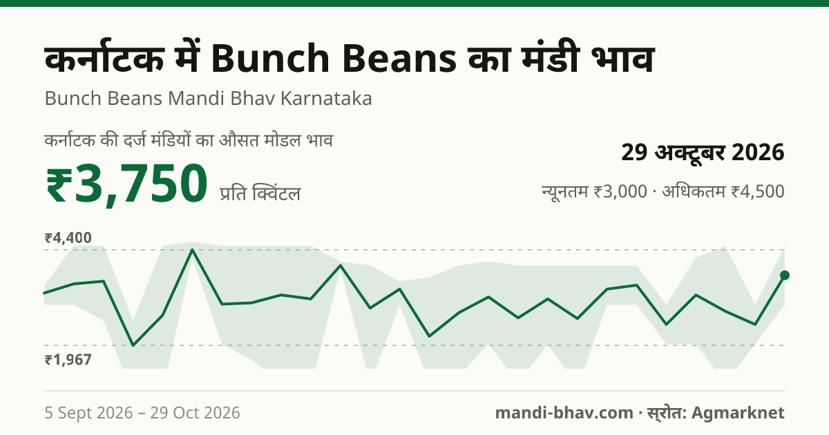 कर्नाटक में Bunch Beans का मंडी भाव 29 अक्टूबर 2026: औसत मोडल ₹3,750 प्रति क्विंटल, भाव के रुझान का चार्ट