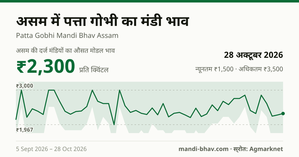असम में पत्ता गोभी का मंडी भाव 28 अक्टूबर 2026: औसत मोडल ₹2,300 प्रति क्विंटल, भाव के रुझान का चार्ट