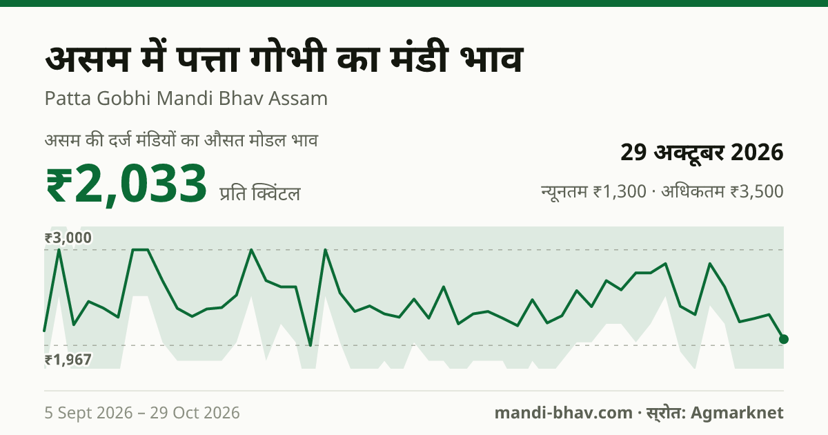 असम में पत्ता गोभी का मंडी भाव 29 अक्टूबर 2026: औसत मोडल ₹2,033 प्रति क्विंटल, भाव के रुझान का चार्ट
