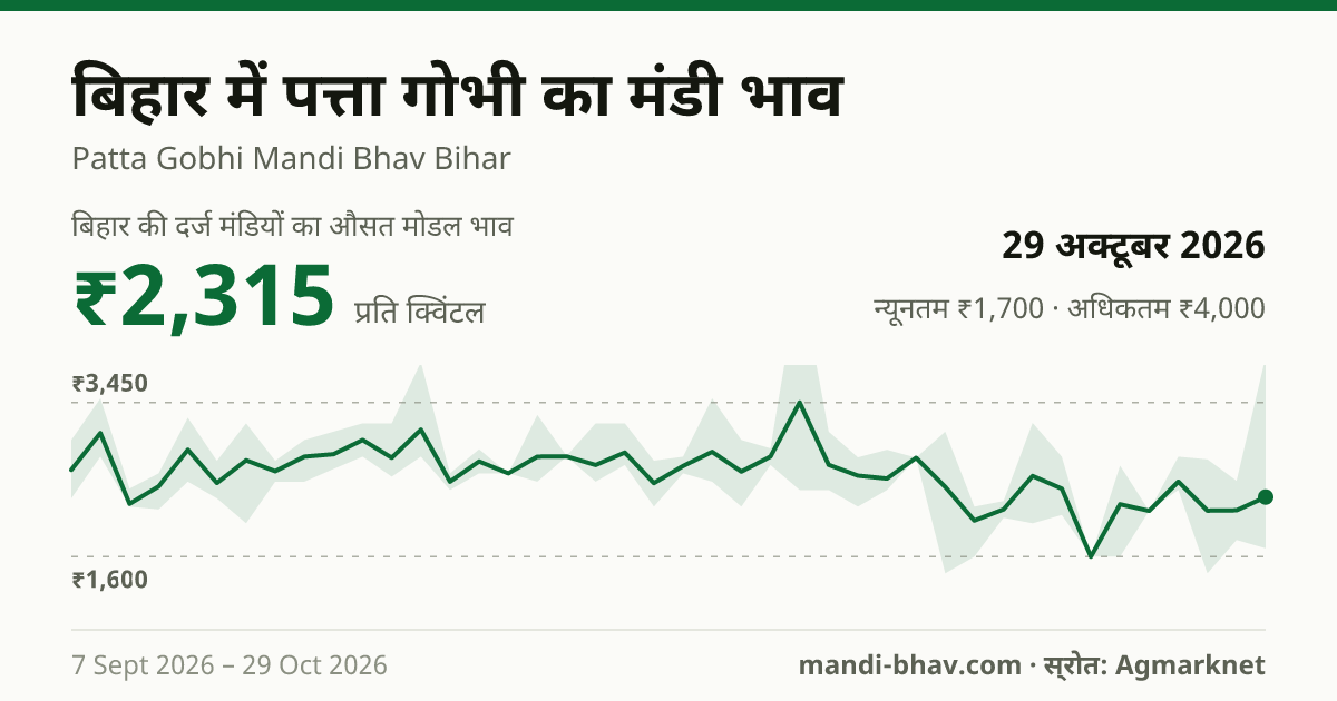 बिहार में पत्ता गोभी का मंडी भाव 29 अक्टूबर 2026: औसत मोडल ₹2,392 प्रति क्विंटल, भाव के रुझान का चार्ट