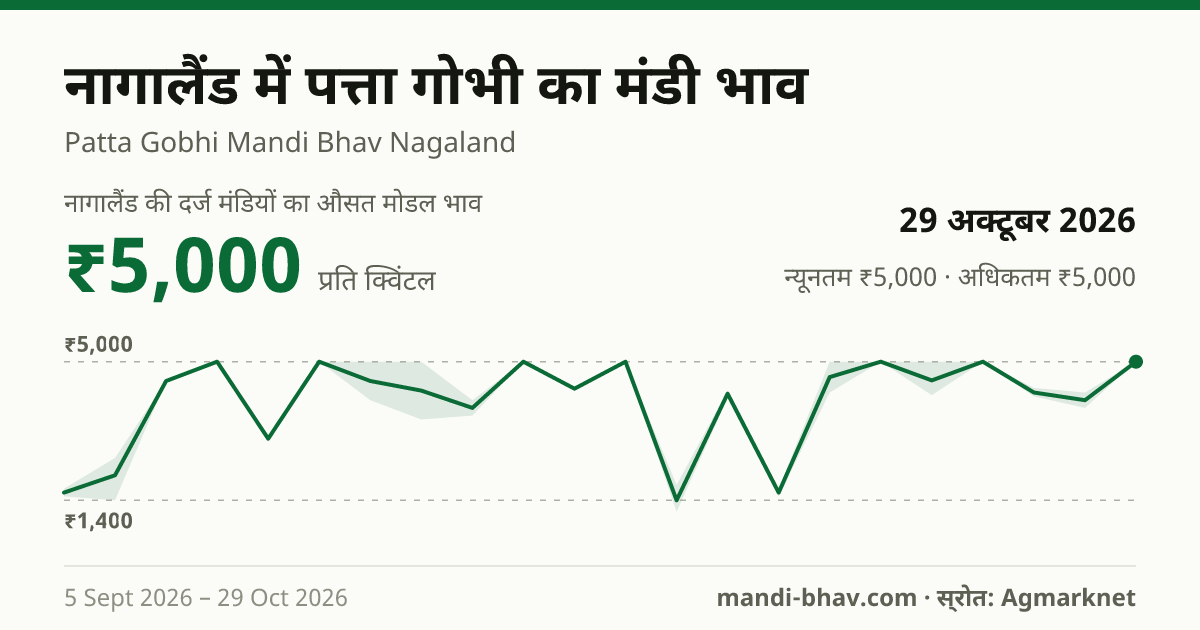 नागालैंड में पत्ता गोभी का मंडी भाव 29 अक्टूबर 2026: औसत मोडल ₹5,000 प्रति क्विंटल, भाव के रुझान का चार्ट