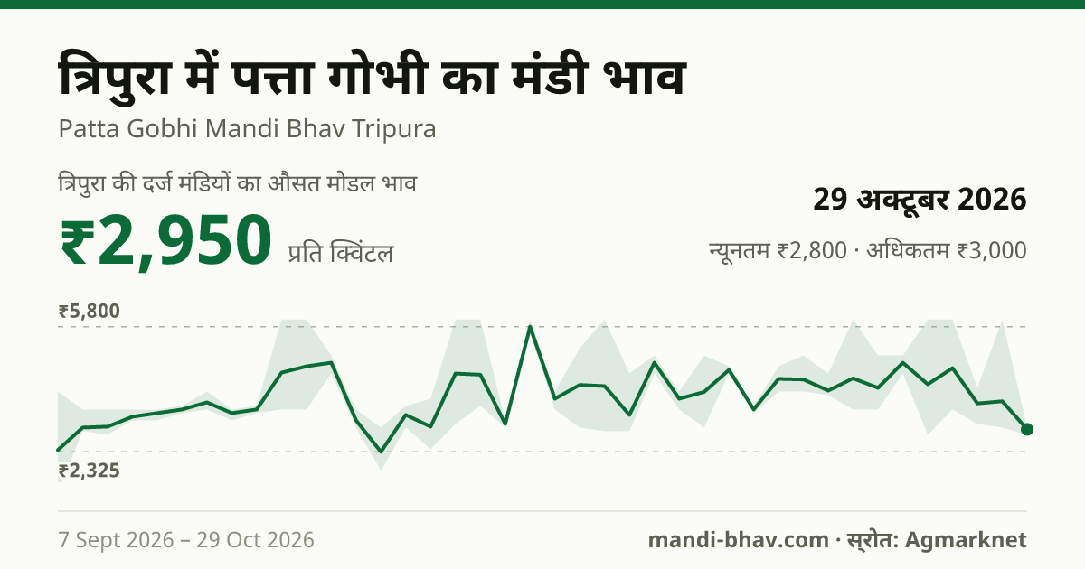 त्रिपुरा में पत्ता गोभी का मंडी भाव 29 अक्टूबर 2026: औसत मोडल ₹2,950 प्रति क्विंटल, भाव के रुझान का चार्ट