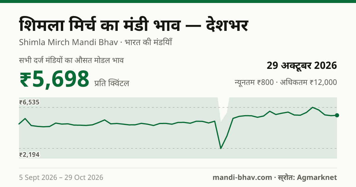देशभर में शिमला मिर्च का मंडी भाव 29 अक्टूबर 2026: औसत मोडल ₹6,775 प्रति क्विंटल, भाव के रुझान का चार्ट