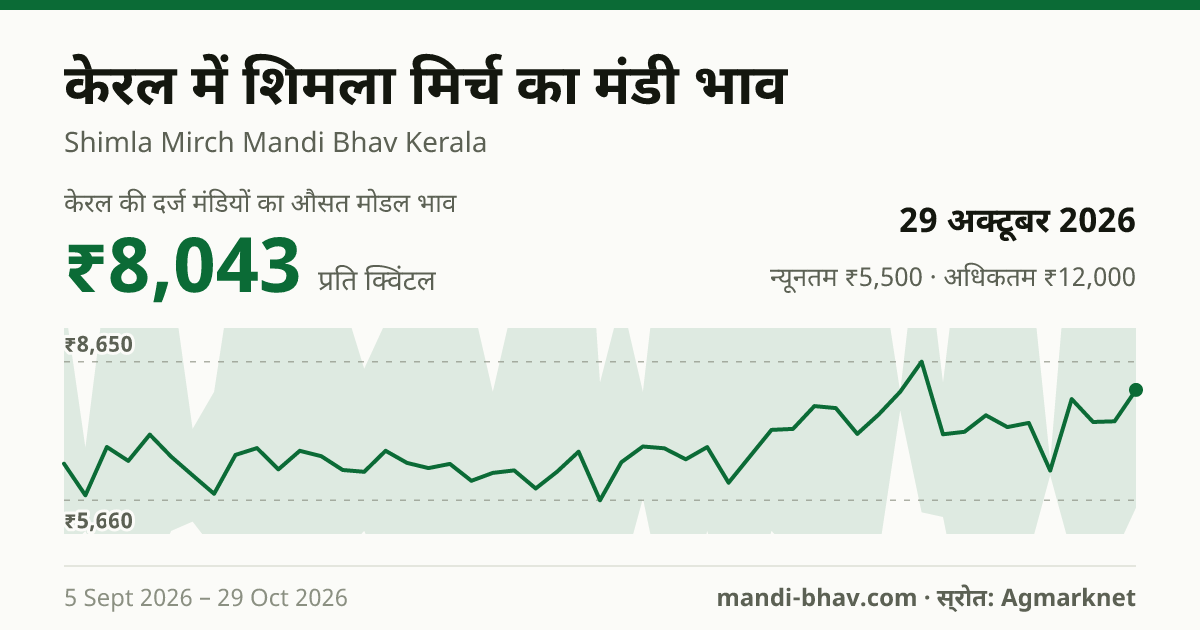 केरल में शिमला मिर्च का मंडी भाव 29 अक्टूबर 2026: औसत मोडल ₹8,043 प्रति क्विंटल, भाव के रुझान का चार्ट
