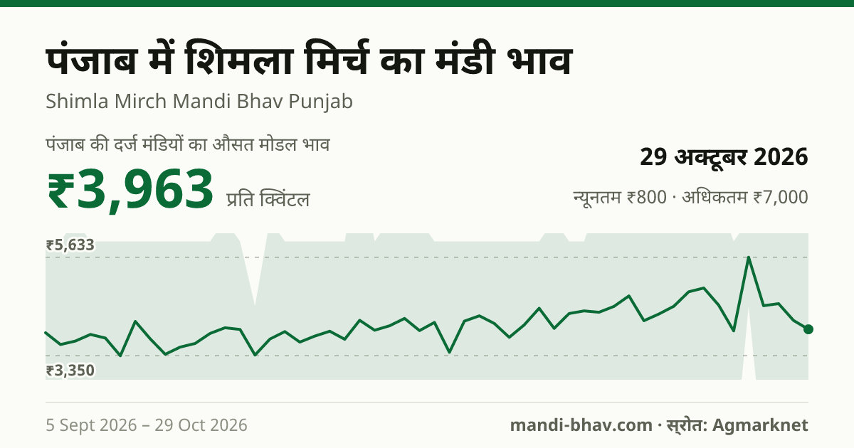 पंजाब में शिमला मिर्च का मंडी भाव 29 अक्टूबर 2026: औसत मोडल ₹3,000 प्रति क्विंटल, भाव के रुझान का चार्ट