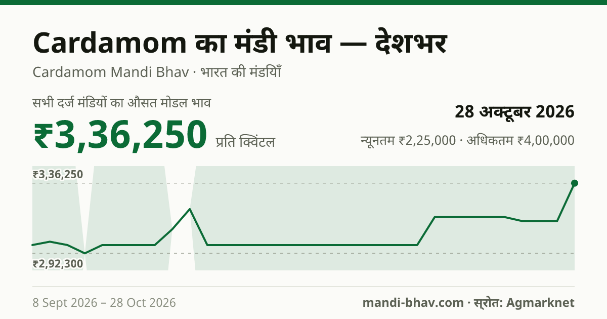 देशभर में Cardamom का मंडी भाव 28 अक्टूबर 2026: औसत मोडल ₹3,36,250 प्रति क्विंटल, भाव के रुझान का चार्ट
