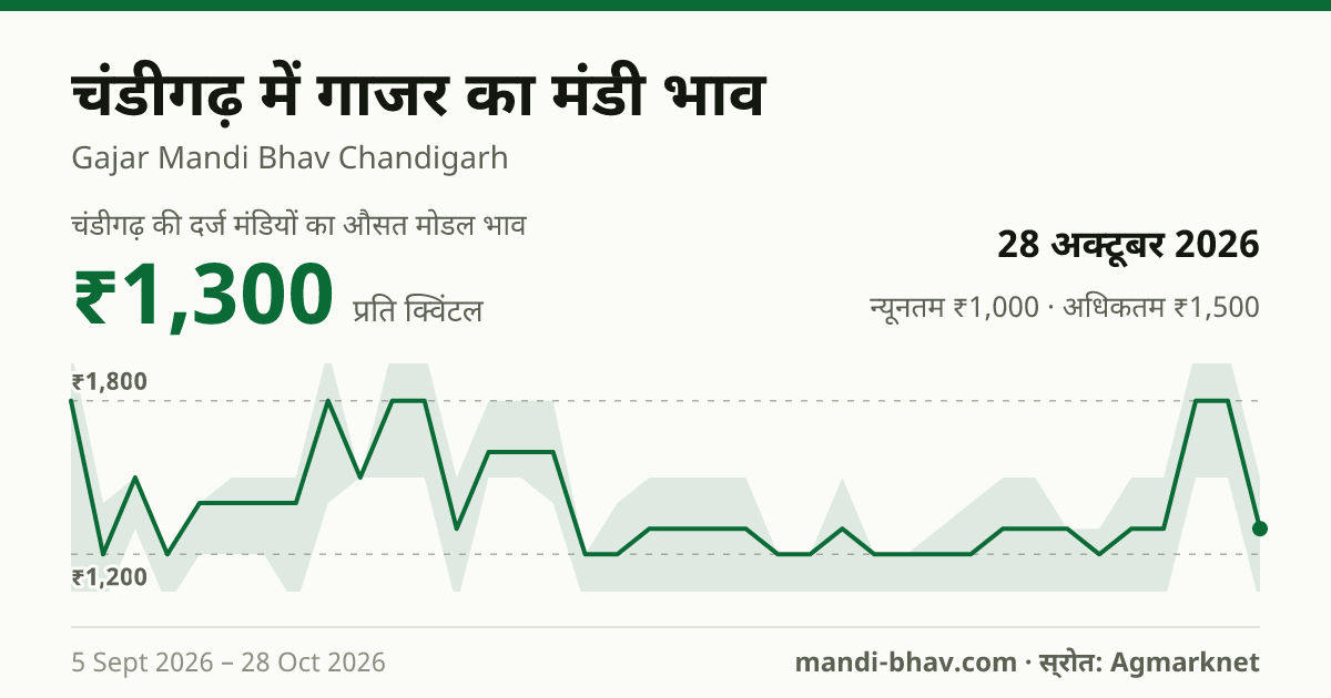 चंडीगढ़ में गाजर का मंडी भाव 28 अक्टूबर 2026: औसत मोडल ₹1,300 प्रति क्विंटल, भाव के रुझान का चार्ट