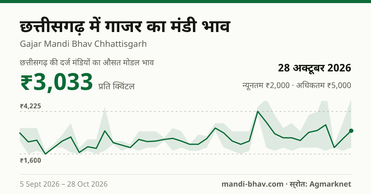 छत्तीसगढ़ में गाजर का मंडी भाव 28 अक्टूबर 2026: औसत मोडल ₹3,033 प्रति क्विंटल, भाव के रुझान का चार्ट