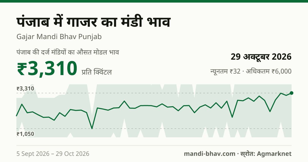 पंजाब में गाजर का मंडी भाव 29 अक्टूबर 2026: औसत मोडल ₹3,052 प्रति क्विंटल, भाव के रुझान का चार्ट