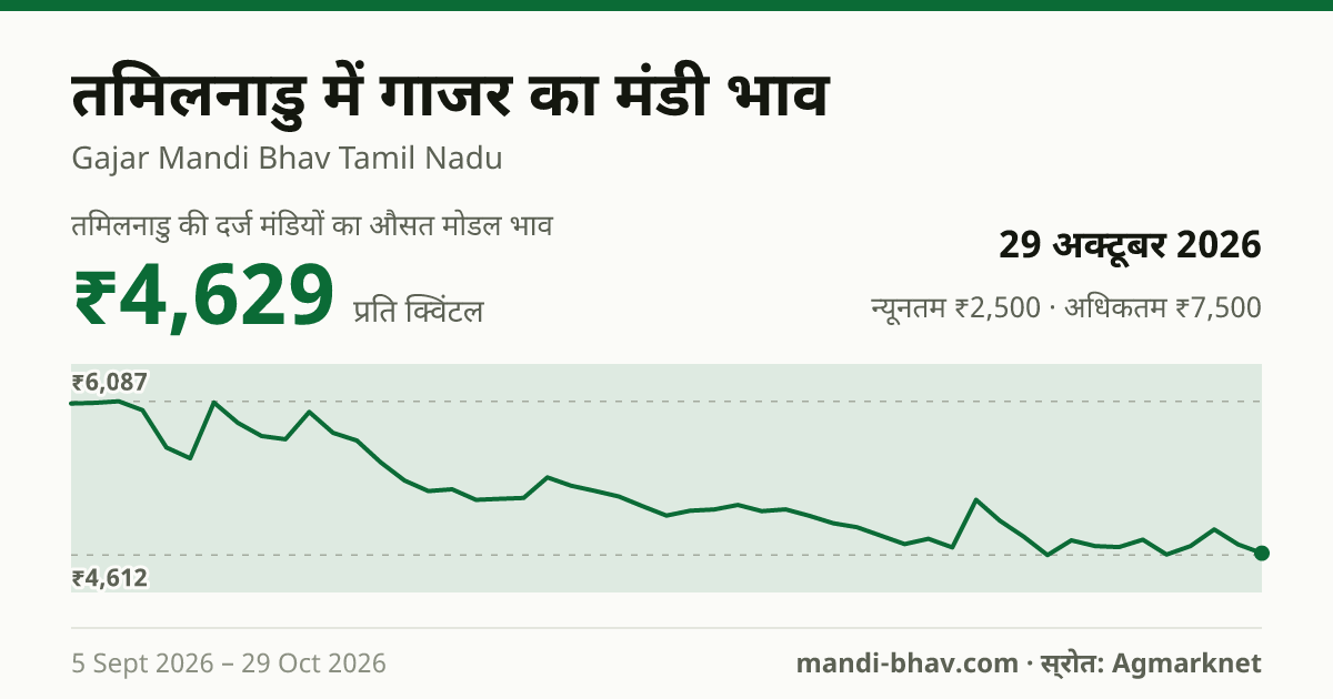 तमिलनाडु में गाजर का मंडी भाव 29 अक्टूबर 2026: औसत मोडल ₹4,552 प्रति क्विंटल, भाव के रुझान का चार्ट
