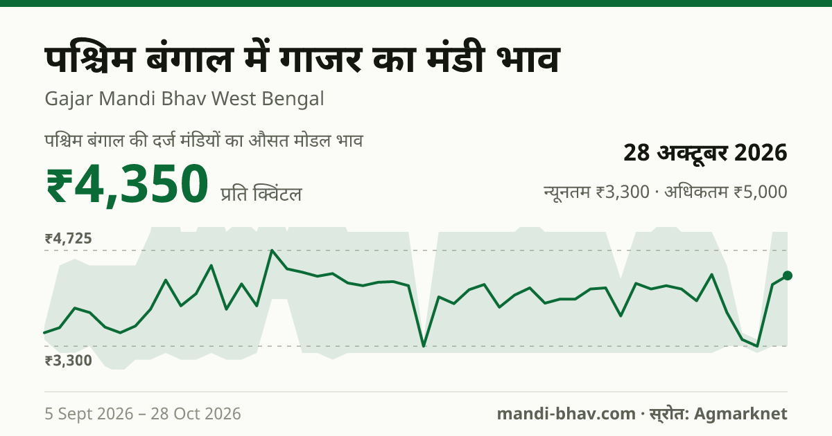 पश्चिम बंगाल में गाजर का मंडी भाव 28 अक्टूबर 2026: औसत मोडल ₹4,350 प्रति क्विंटल, भाव के रुझान का चार्ट