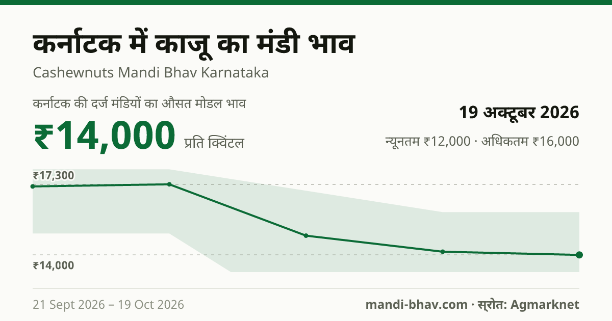 कर्नाटक में काजू का मंडी भाव 19 अक्टूबर 2026: औसत मोडल ₹14,000 प्रति क्विंटल, भाव के रुझान का चार्ट