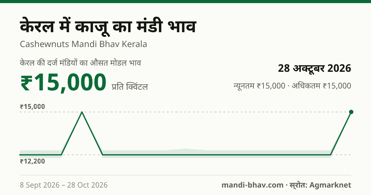 केरल में काजू का मंडी भाव 28 अक्टूबर 2026: औसत मोडल ₹15,000 प्रति क्विंटल, भाव के रुझान का चार्ट