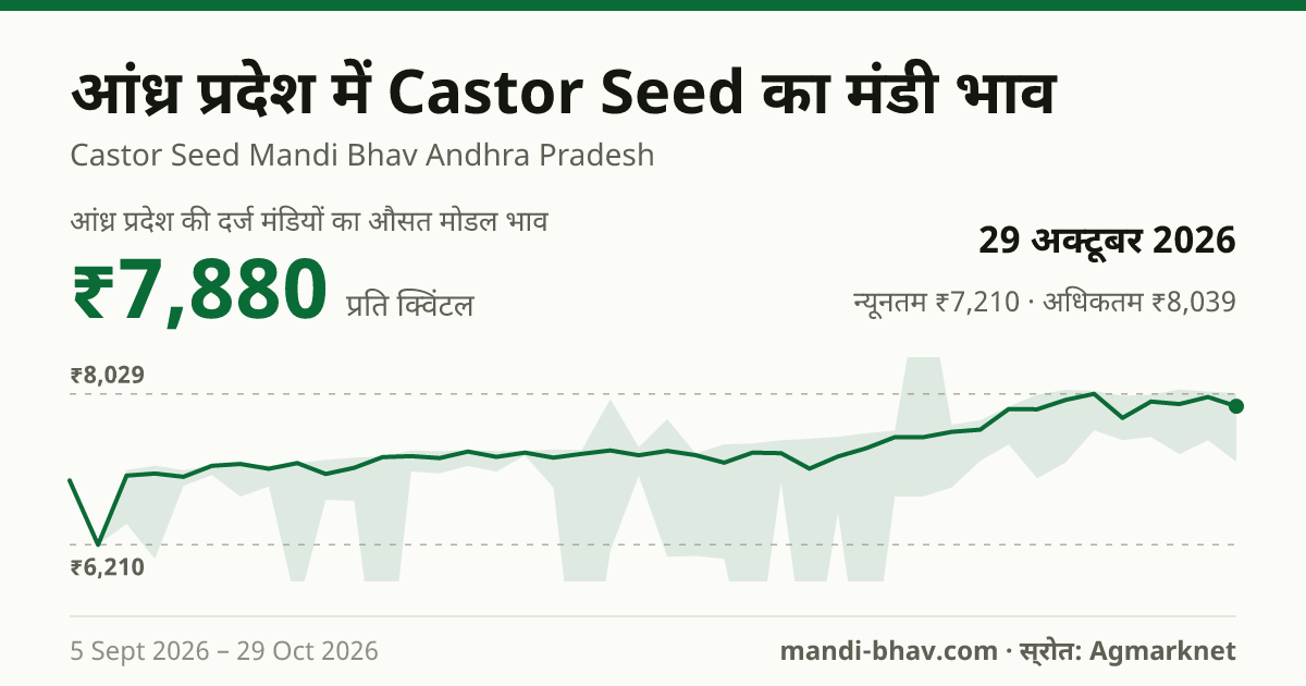 आंध्र प्रदेश में Castor Seed का मंडी भाव 29 अक्टूबर 2026: औसत मोडल ₹7,880 प्रति क्विंटल, भाव के रुझान का चार्ट