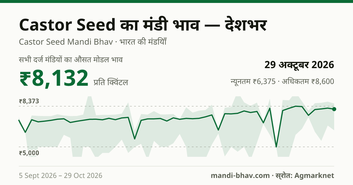 देशभर में Castor Seed का मंडी भाव 29 अक्टूबर 2026: औसत मोडल ₹8,077 प्रति क्विंटल, भाव के रुझान का चार्ट