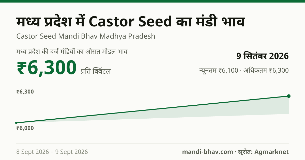 मध्य प्रदेश में Castor Seed का मंडी भाव 9 सितंबर 2026: औसत मोडल ₹6,300 प्रति क्विंटल, भाव के रुझान का चार्ट