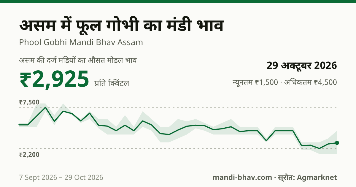 असम में फूल गोभी का मंडी भाव 29 अक्टूबर 2026: औसत मोडल ₹2,925 प्रति क्विंटल, भाव के रुझान का चार्ट