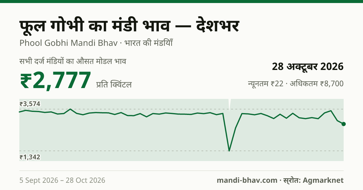 देशभर में फूल गोभी का मंडी भाव 28 अक्टूबर 2026: औसत मोडल ₹2,777 प्रति क्विंटल, भाव के रुझान का चार्ट