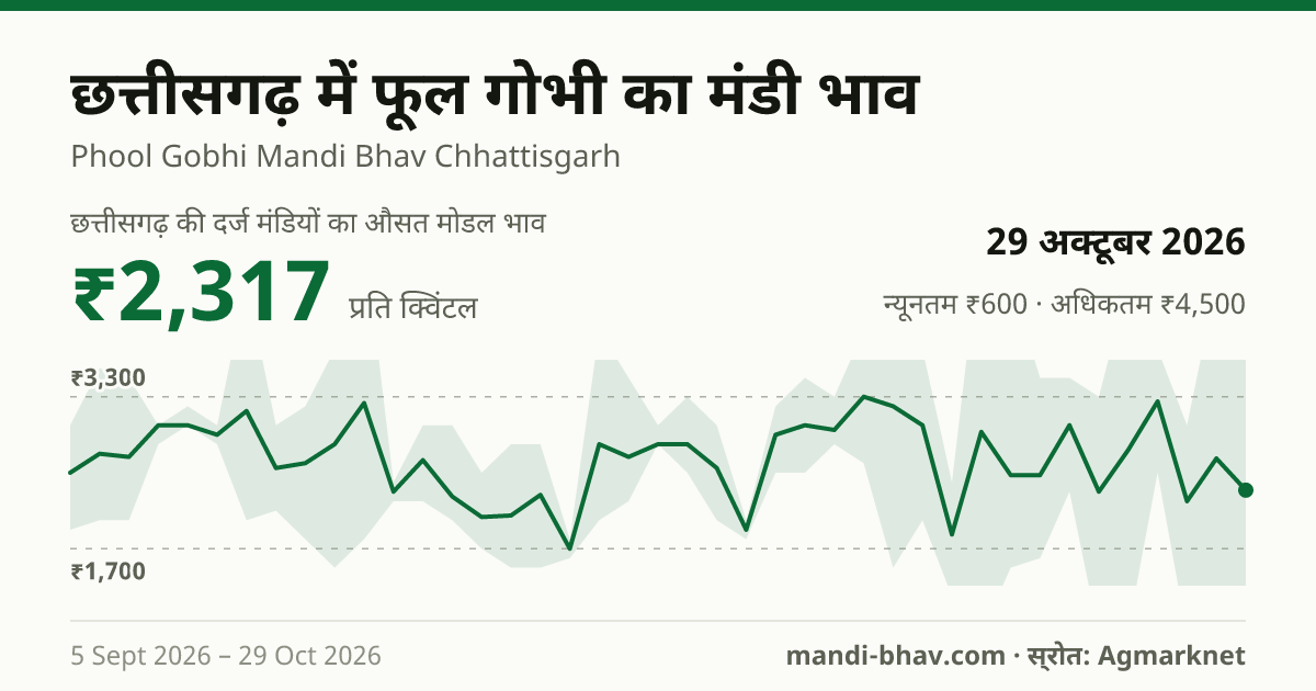 छत्तीसगढ़ में फूल गोभी का मंडी भाव 29 अक्टूबर 2026: औसत मोडल ₹1,475 प्रति क्विंटल, भाव के रुझान का चार्ट