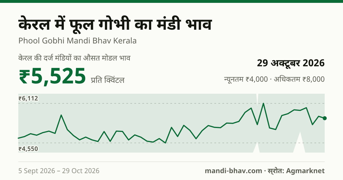 केरल में फूल गोभी का मंडी भाव 29 अक्टूबर 2026: औसत मोडल ₹7,000 प्रति क्विंटल, भाव के रुझान का चार्ट