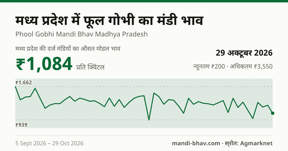 मध्य प्रदेश में फूल गोभी का मंडी भाव 29 अक्टूबर 2026: औसत मोडल ₹1,149 प्रति क्विंटल, भाव के रुझान का चार्ट