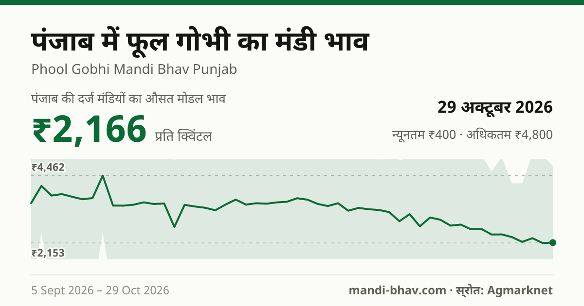 पंजाब में फूल गोभी का मंडी भाव 29 अक्टूबर 2026: औसत मोडल ₹2,166 प्रति क्विंटल, भाव के रुझान का चार्ट