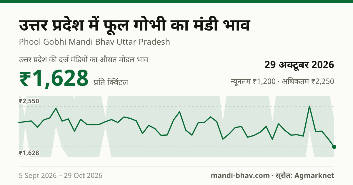 उत्तर प्रदेश में फूल गोभी का मंडी भाव 29 अक्टूबर 2026: औसत मोडल ₹1,660 प्रति क्विंटल, भाव के रुझान का चार्ट