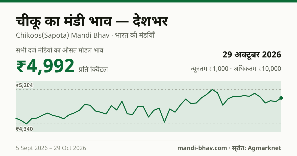 देशभर में चीकू का मंडी भाव 29 अक्टूबर 2026: औसत मोडल ₹4,921 प्रति क्विंटल, भाव के रुझान का चार्ट