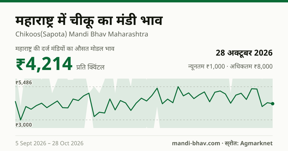 महाराष्ट्र में चीकू का मंडी भाव 28 अक्टूबर 2026: औसत मोडल ₹4,214 प्रति क्विंटल, भाव के रुझान का चार्ट