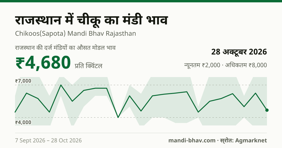 राजस्थान में चीकू का मंडी भाव 28 अक्टूबर 2026: औसत मोडल ₹4,680 प्रति क्विंटल, भाव के रुझान का चार्ट