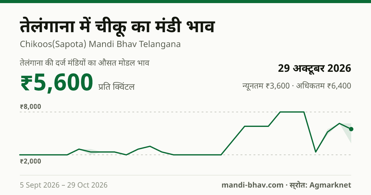 तेलंगाना में चीकू का मंडी भाव 29 अक्टूबर 2026: औसत मोडल ₹5,600 प्रति क्विंटल, भाव के रुझान का चार्ट