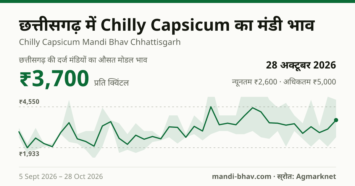 छत्तीसगढ़ में Chilly Capsicum का मंडी भाव 28 अक्टूबर 2026: औसत मोडल ₹3,700 प्रति क्विंटल, भाव के रुझान का चार्ट