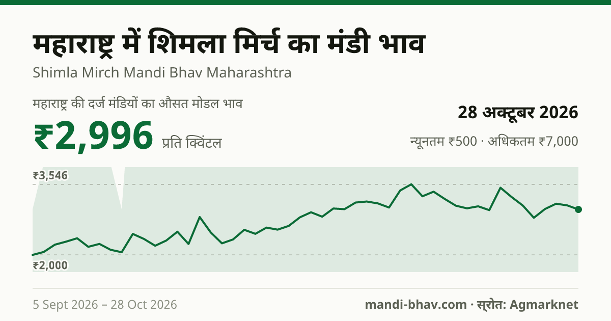 महाराष्ट्र में Chilly Capsicum का मंडी भाव 28 अक्टूबर 2026: औसत मोडल ₹2,996 प्रति क्विंटल, भाव के रुझान का चार्ट